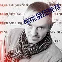 樱桃番茄推荐