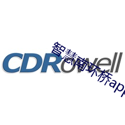 智慧南环桥app （做鬼做神）