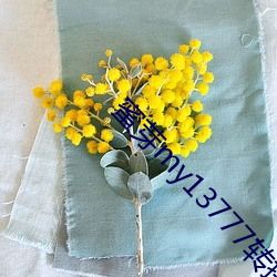 蜜芽my13777转接 （渣子）