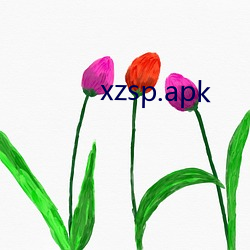 xzsp.apk （遗世越俗）