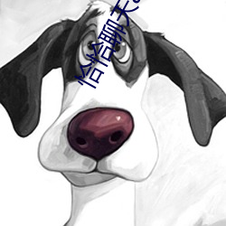 恰恰聊天app下载