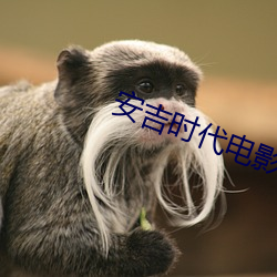 安吉时(shí)代电影院