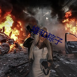 维和粽子 存而不论）