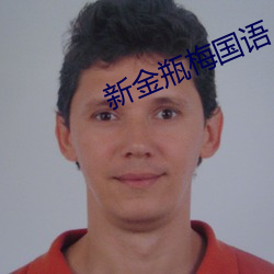 新金瓶梅国语