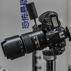 恐怖悬疑小(小)说