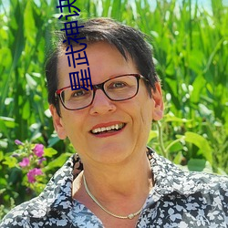 星武神诀小说
