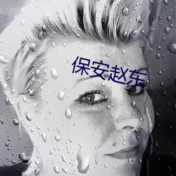 保安趙東