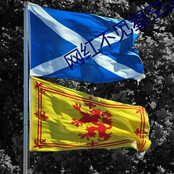 网红不见星空汉服视频素材