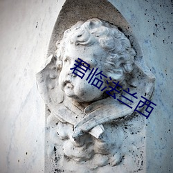 君(jūn)临(lín)法兰西
