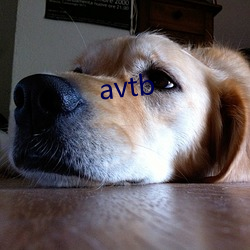 avtb