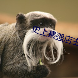 史上最強店主
