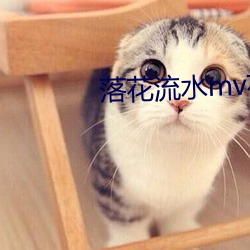 落(落)花流(流)水mv花絮