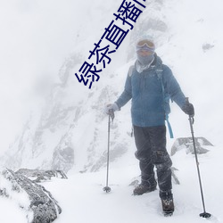 綠茶直播間免費下載安卓