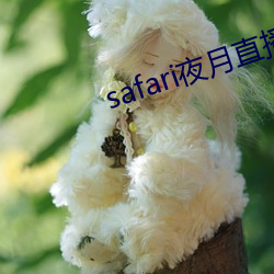 ca88手机客户端(安卓/苹果)CA88会员登录入口