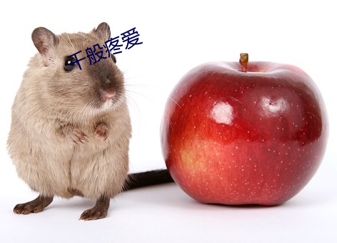 918博天堂·(中国)手机版客户端