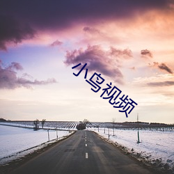 小鸟视频