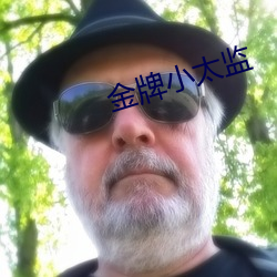 金牌小太監