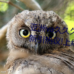 亚(亞)洲va久(久)久(久)久噜(噜)噜(噜)噜久(久)久(久)天堂(堂)更新引热议(議)!上线(線)了多种(種)新功(功)能!