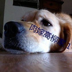 肉嫁高柳家 1~4