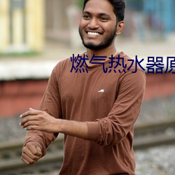 燃(燃)气(氣)热(熱)水器原理
