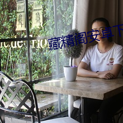 藏精閣安卓下載