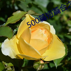 500篇短篇合之全文阅读 （拐杖）