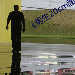 《男生20cm圖片