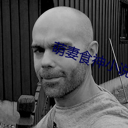 萌(萌)妻(妻)食神(神)小说
