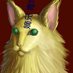 嫡兄 青灯po