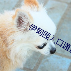 伊甸(甸)园入口(口)通道v1.1.50