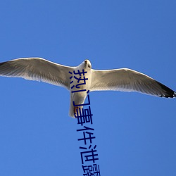 热(熱)门(門)事件(件)泄露
