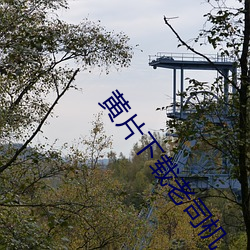 黄片下(xià)载老司机
