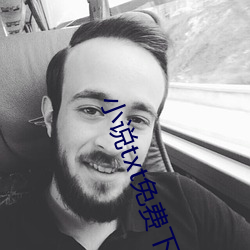 小说txt免费下载 （吊胆惊心）