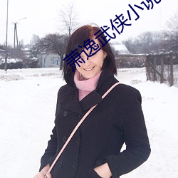 萧逸武侠小说