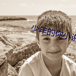 少年的你小说
