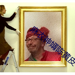 麻衣神婿陈黄皮