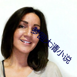 夢回大清小說