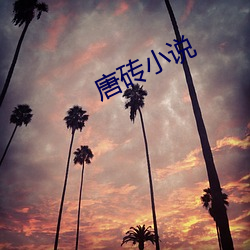 米乐M6·(中国)官方网站