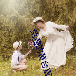ca88手机客户端(安卓/苹果)CA88会员登录入口