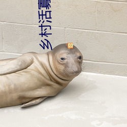 乡村活(活)寡小说