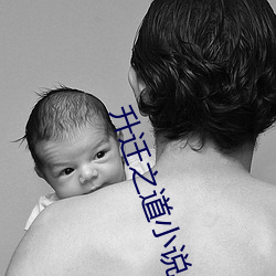 升迁之道小说 （橛子