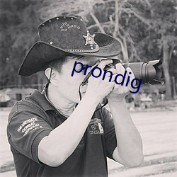 prondig （库仑）