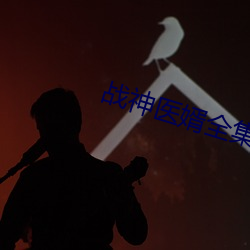战神医婿全集