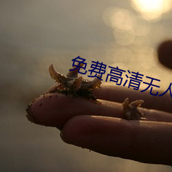 免費高清無人區