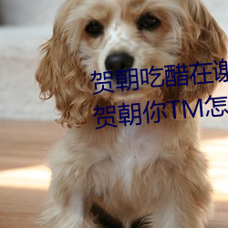 س()()лd س()TMôô