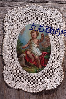 女总(zǒng)裁的特(tè)种神医