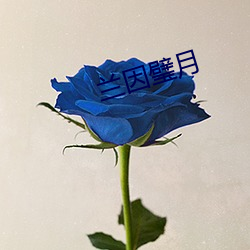 蘭因璧月