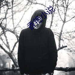 香艳小说 （区域）
