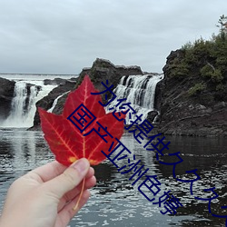为您提供久(jiǔ)久久久精(jīng)品免(miǎn)费看(kàn)国产成人(rén)一区二区国产亚洲色(sè)婷