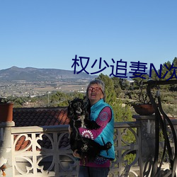 权少追妻N次方